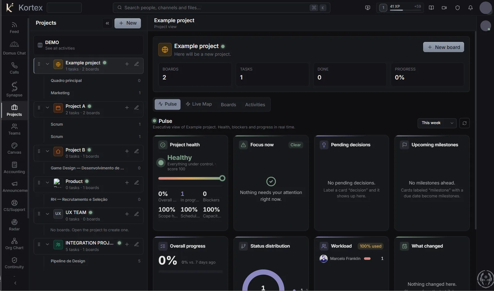 Projects — project pulse with health, focus, pending decisions and milestones
