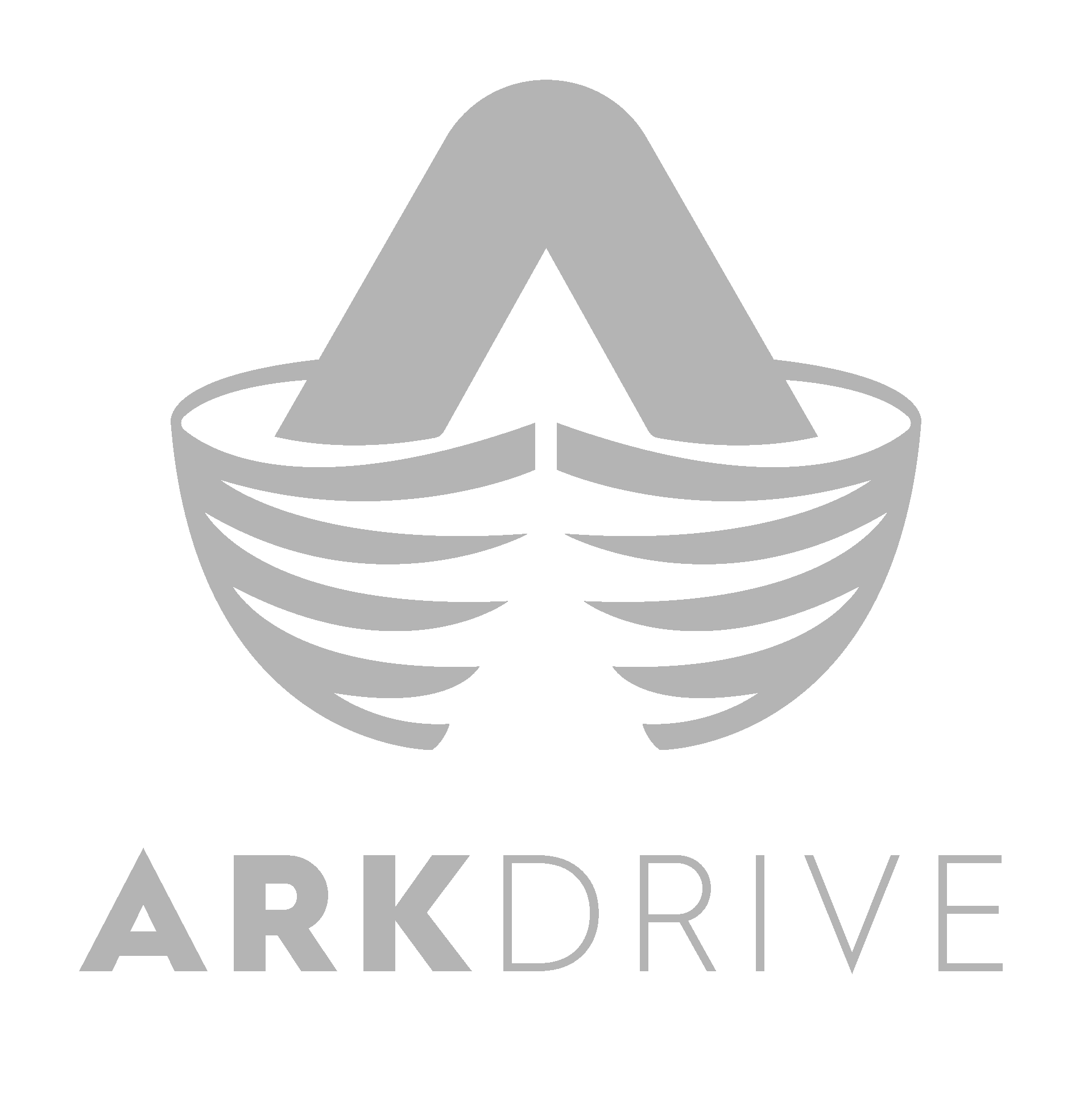 ARKDrive